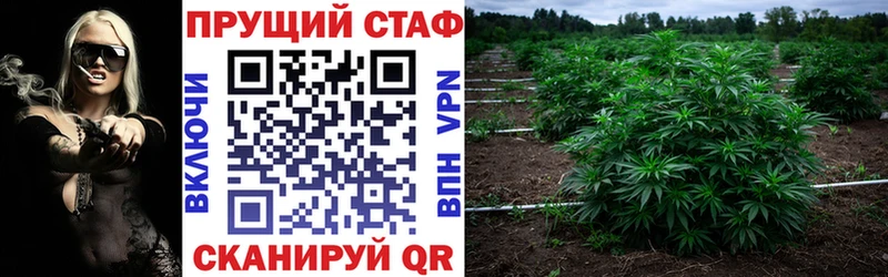 APVP Лесной