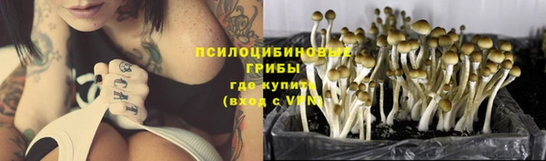прущая мука Куйбышев