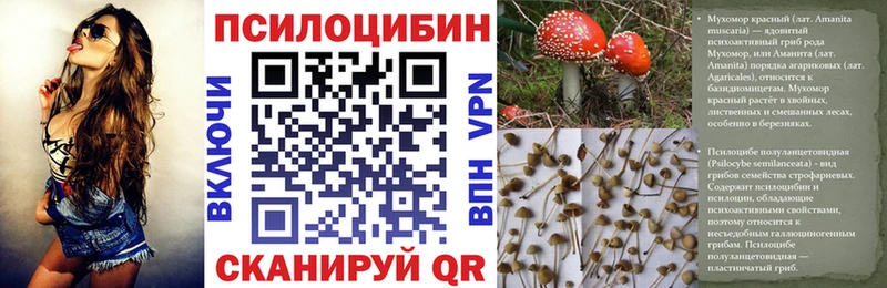 Галлюциногенные грибы Magic Shrooms  Купить  Лесной 